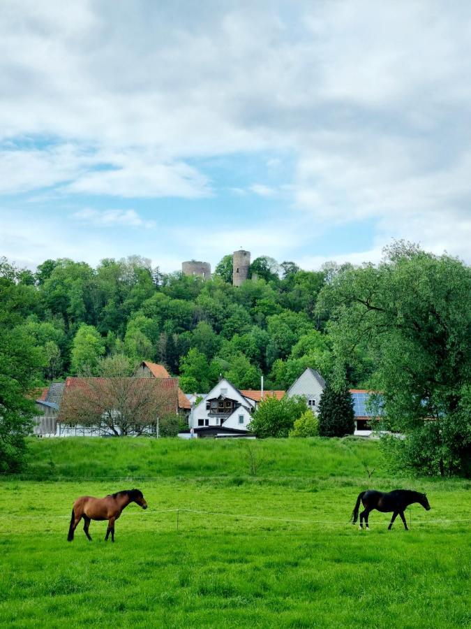 Ferienhaus Diemelaue Mit Klimaanlage Bad Karlshafen Buitenkant foto
